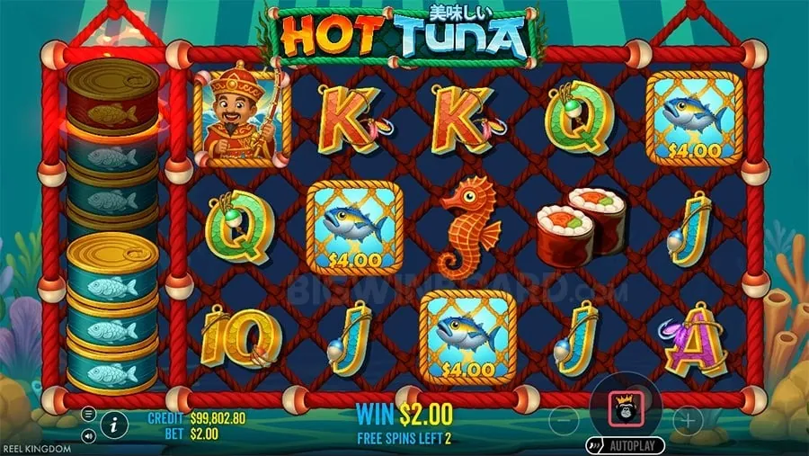 8k8 Jili VIP Program